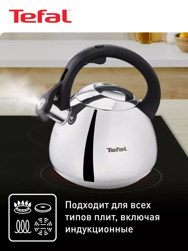 Чайник для плиты Duetto+ N4180110, 2.7 л, стальной