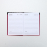 Подарочный набор ЧИСТОЕ СЧАСТЬЕ &laquo;Плачь, детка&raquo;: гель для душа виски 250 мл и ежедневник