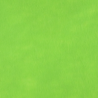 Лоскут для рукоделия, 50 &times; 50 см, фетр, цвет светло-зелёный