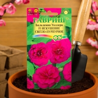 Семена цветов Бальзамин Уоллера "Искушение светло-пурпурное" F1, О, 4 шт. Семена цветов Бальзамин Уоллера "Искушение светло-пурпурное" F1, О, 4 шт.