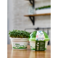 Набор для выращивания &laquo;Моя микрозелень&raquo;, рукола