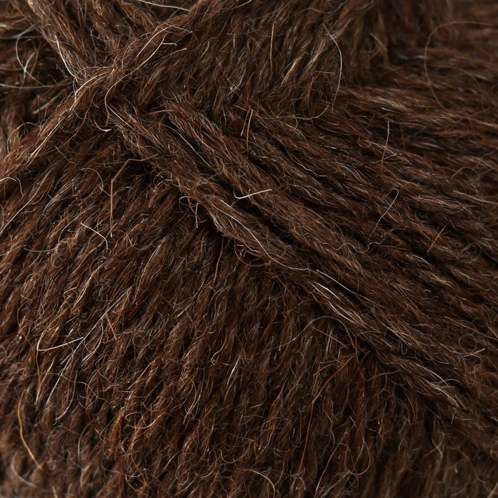 Пряжа "Верблюжья шерсть" 50% вербл. шерсть,50% овечья шерсть  200м/100гр (251-Коричневый)