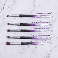 Набор кистей для макияжа &laquo;Luminous&raquo;, 10 предметов, PVC - чехол, цвет чёрный/фиолетовый