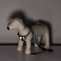 Комплект амуниции светоотражающий, размер S, ОГ 35-60 см, стропа 1,5 см, серый Комплект амуниции светоотражающий, размер S, ОГ 35-60 см, стропа 1,5 см, серый