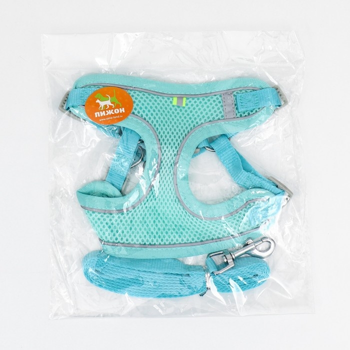 Комплект с мягкой шлейкой, быстросъемный, L, поводок 140 см, ОШ 49-56 см, ОГ 56-68 см, бирюзовый