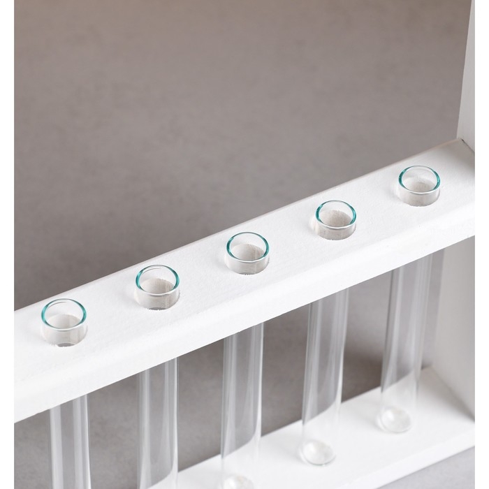 Кашпо деревянное 28&times;4.5&times;40 см с 5 колбами "Рамка Экстра", белый Дарим Красиво