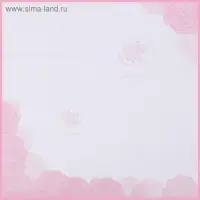 Пленка для цветов &laquo;Девушка&raquo;, светло - розовый, 0.58&times;0.58 м