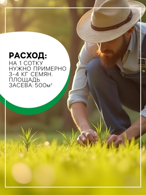 Семена газонной травы Hello grass, Sport Meister Gras, 10 кг