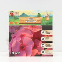 Флокс &laquo;Джеффс Пинк&raquo; корневище в пакете с торфогрунтом, р-р I, 2 шт.