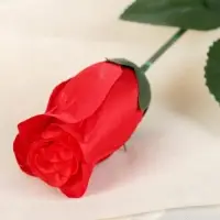 Цветы искусственные &laquo;Роза простая&raquo; 50 см, красный