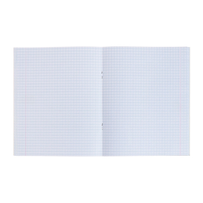 Комплект тетрадей из 4 штук, 96 листов в клетку Calligrata Комплект тетрадей из 4 штук, 96 листов в клетку Calligrata "Fashion", обложка мелованный картон, блок офсет