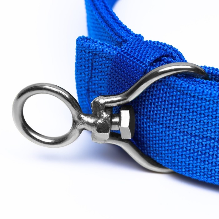 Ошейник четырехслойный с вертлюгом, 80 х 4,9 см, ОШ 64-74 см, полиэстер, синий