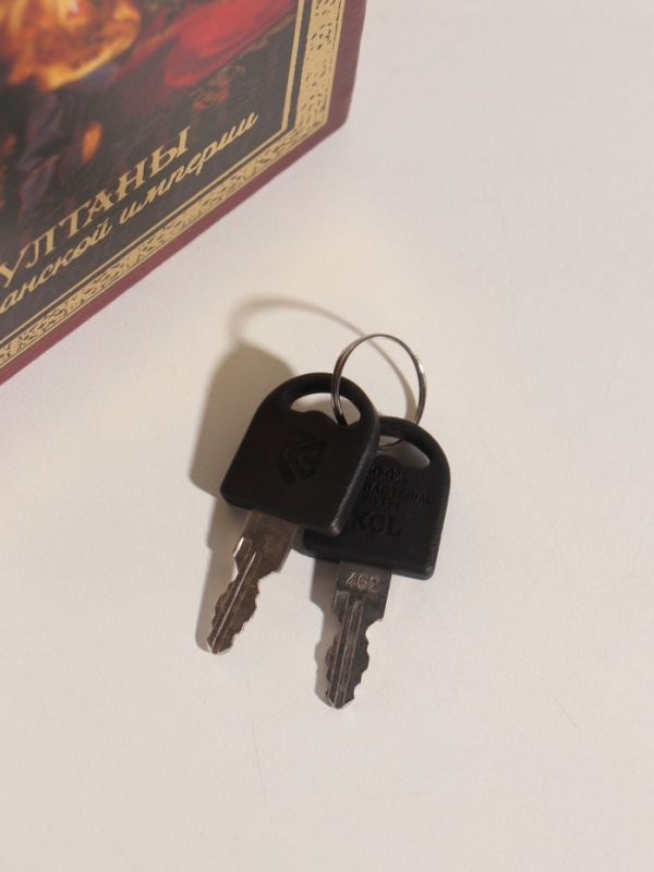 Сейф-книга дерево кожзам "Султаны Османской империи" тиснение 21х13х5 см