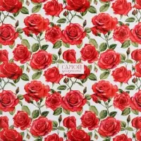 Бумага упаковочная глянцевая &laquo;Самой прекрасной&raquo;, 70 х 100 см