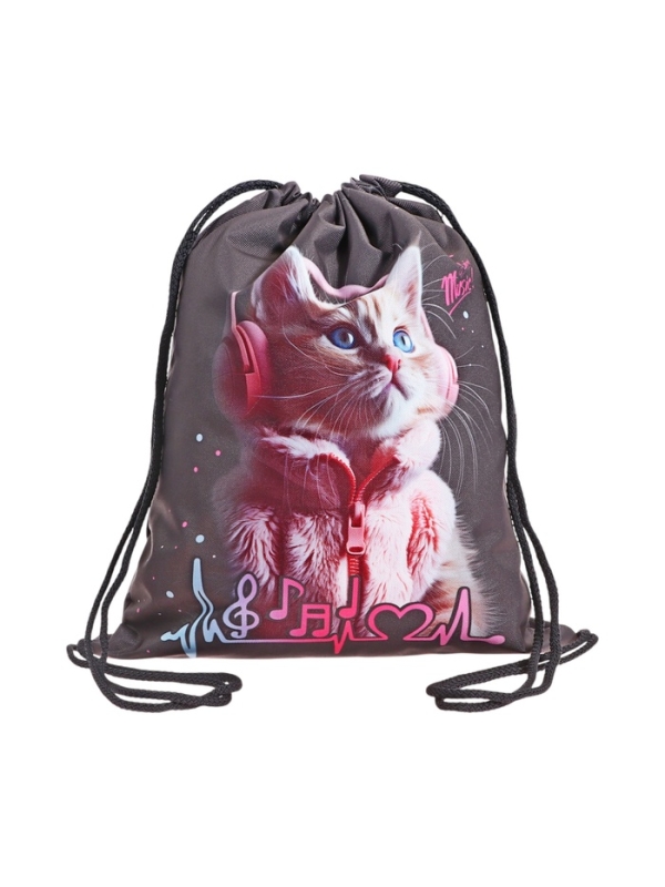 Мешок для обуви, 435&times;360 мм, Stavia (плотность 600D) &laquo;Котик в наушниках&raquo;