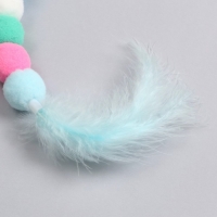 Дразнилка для кошек на креплении с бубенчиком "Гусеница с перьями", микс цветов Дразнилка для кошек на креплении с бубенчиком "Гусеница с перьями", микс цветов