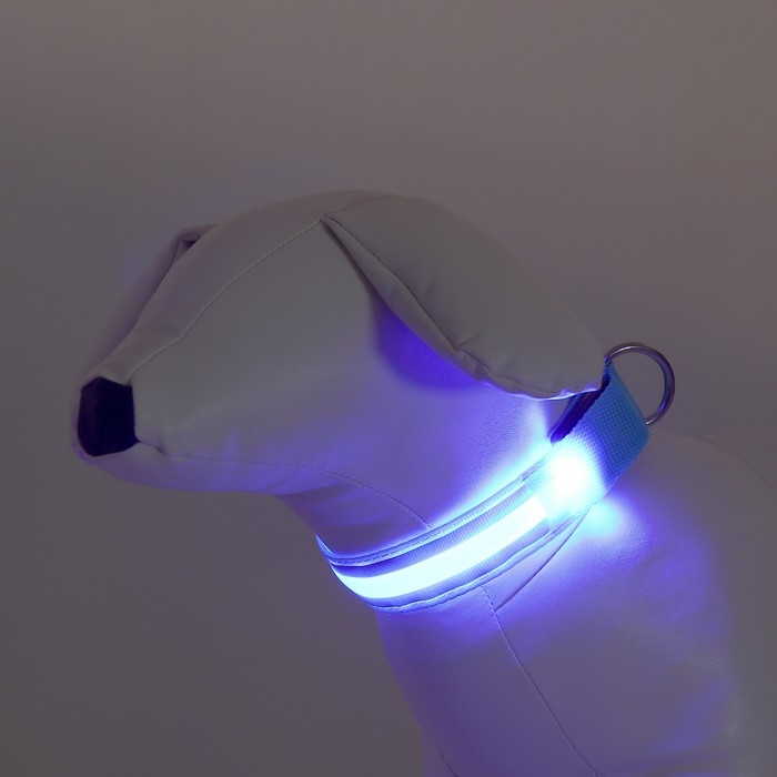 Ошейник с подсветкой Двойная полоса размер S, ОШ 35-43 х 2,5 см, 3 режима свечения голубой Ошейник с подсветкой Двойная полоса размер S, ОШ 35-43 х 2,5 см, 3 режима свечения голубой