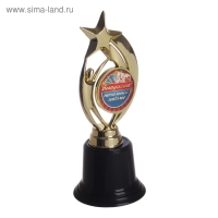 Фигура наградная звезда на Выпускной &laquo;Выпускник начальной школы&raquo;, высота 18,3 см