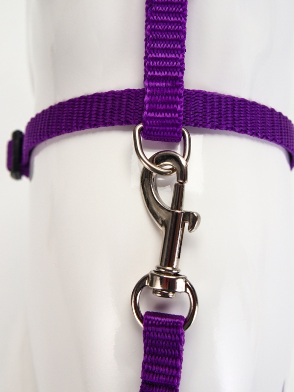 Комплект для кошек, ширина 1 см, ОШ 16,5-27 см, ОГ 21-35 см, поводок 120 см, фиолетовый