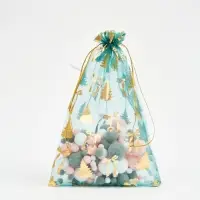 Мешочек подарочный органза &laquo;Новогоднее настроение&raquo;, 20 &times; 30 см