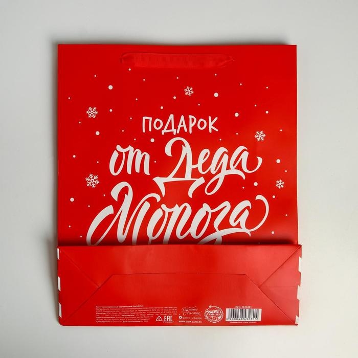 Пакет подарочный новогодний ламинированный &laquo;Подарок от Деда Мороза&raquo;, M 26 х 30 х 9 см