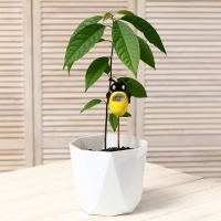 Измеритель влажности почвы &laquo;Пчёлка&raquo;