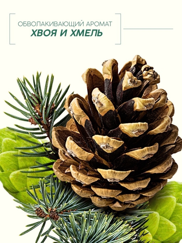 Мужской шампунь 2 в 1, 250 мл