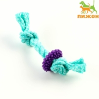 Игрушка жевательная "Шестерёнка на канате", до 20 см, бирюзовая Игрушка жевательная "Шестерёнка на канате", до 20 см, бирюзовая