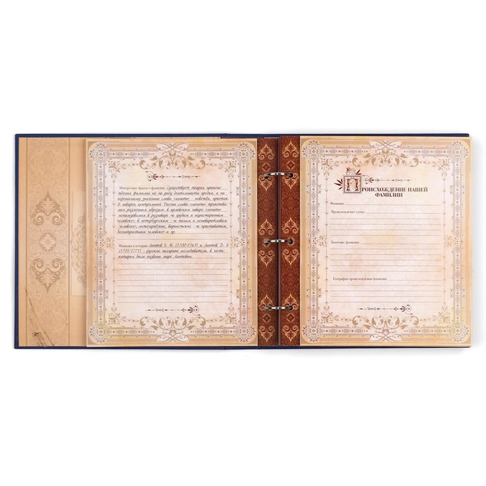 Родословная книга с рамкой под фото &laquo;Родословная книга&raquo;, 50 листов, 21,5 х 23,7 см.