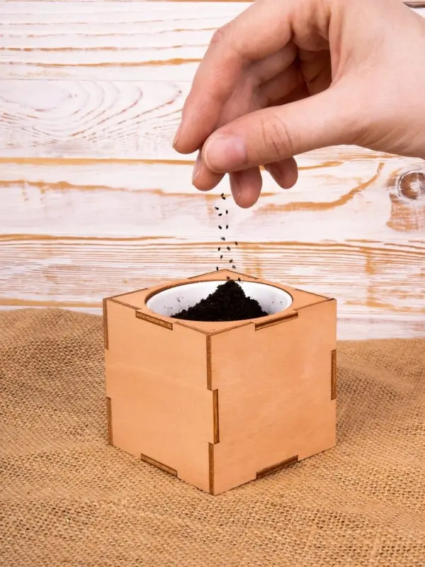 Набор для выращивания &laquo;Экокуб Lite&raquo;, сирень