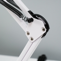 Лампа настольная 810 "Деко, белая" E27 40W RISALUX