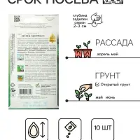 Семена огурца "Быстрик", F1,  10 шт.