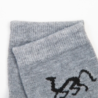 Носки женские, цвет светло-серый, размер 23-25 Носки женские, цвет светло-серый, размер 23-25