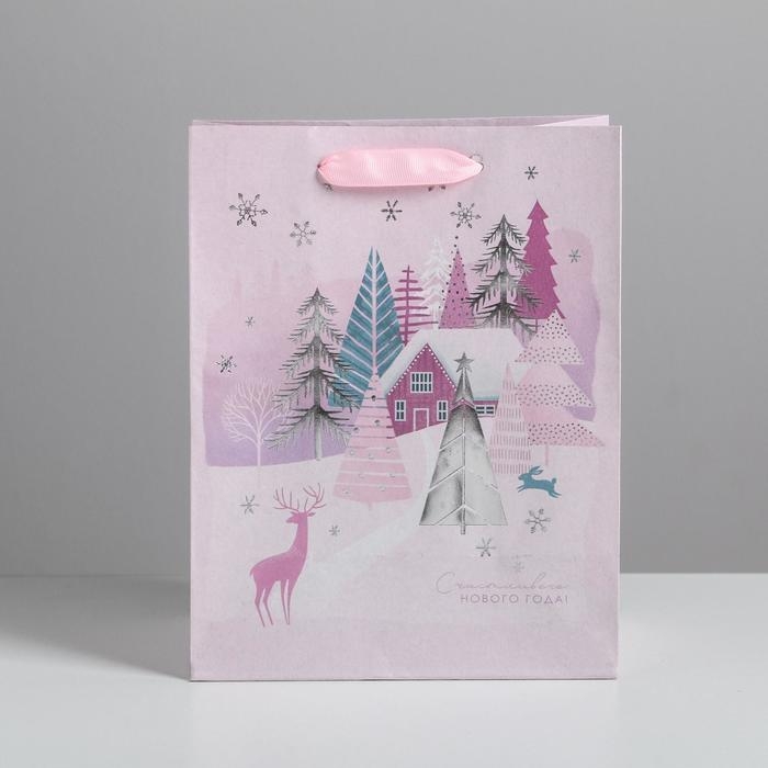 Пакет подарочный новогодний крафтовый вертикальный «Домик на опушке», MS 18 х 23 х 10 см, Новый год Пакет подарочный новогодний крафтовый вертикальный «Домик на опушке», MS 18 х 23 х 10 см, Новый год