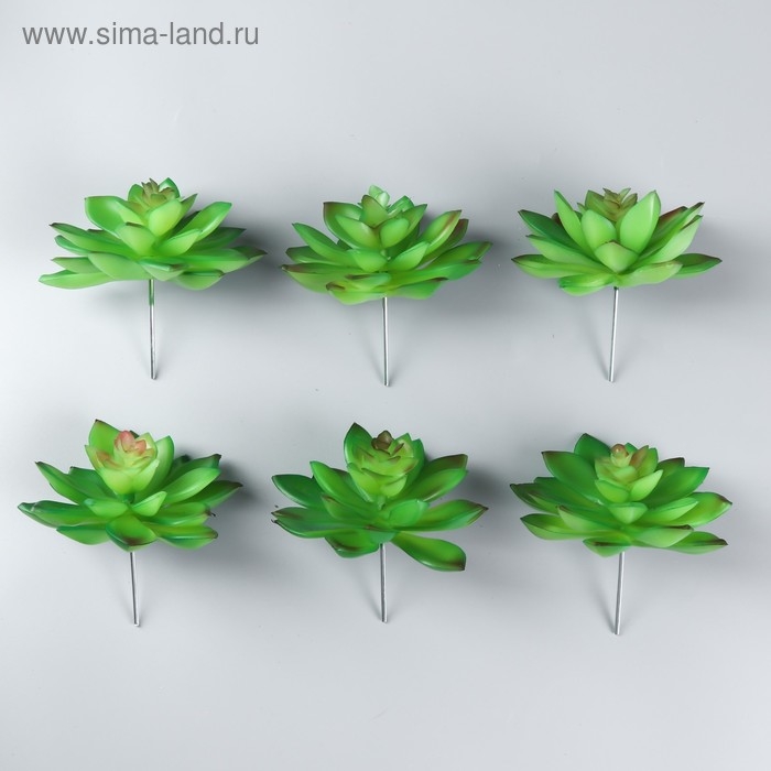 Искусственный суккулент для создания флорариума "Молодило Silver Song" 10,5х10х10 см