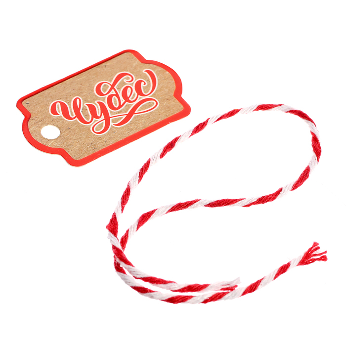 Набор для опытов «Новогодние бомбочки: Шар и снежинка», своими руками Набор для опытов «Новогодние бомбочки: Шар и снежинка», своими руками