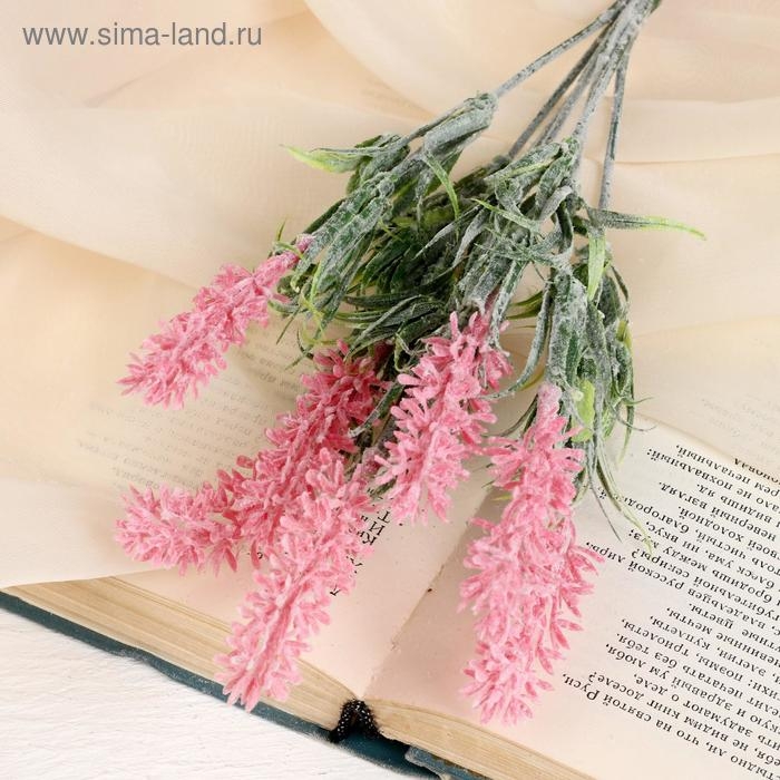 Букет Букет "Кипрей" с напылением, 26 см, микс