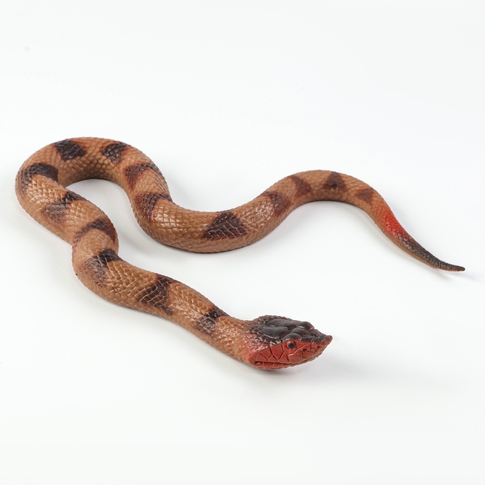 Резиновая змея &laquo;Полоз&raquo;