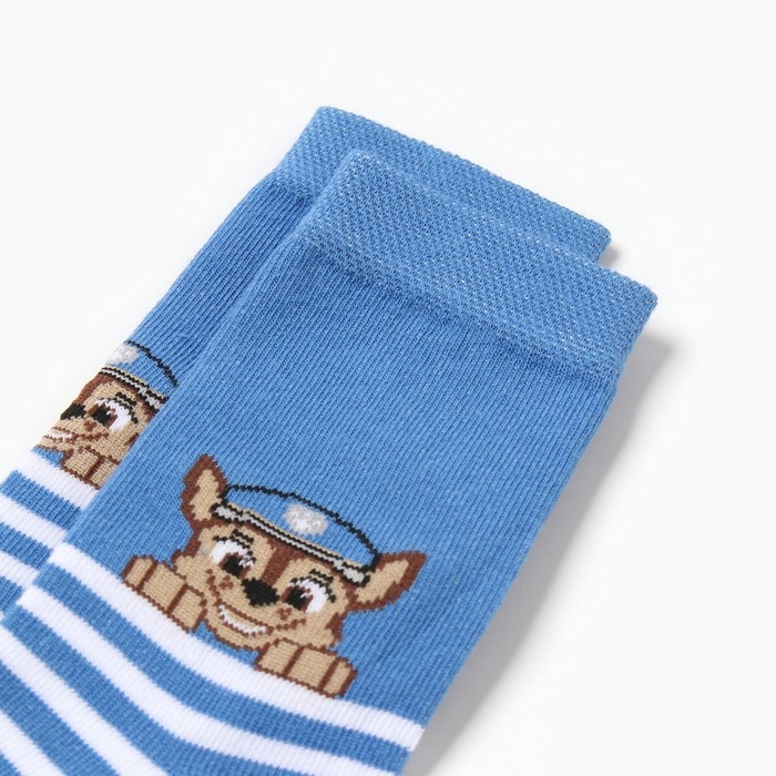 Носки PAW PATROL &laquo;Гончик&raquo;, цвет синий, 14-16 см