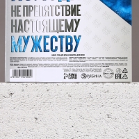 Подарочный набор косметики новогодний &laquo;Твои возможности безграничны&raquo;, гель для душа и шампунь для волос , 2 х 250 мл, Новый Год