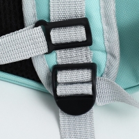 Рюкзак для переноски кошек и собак, с окном для обзора, зелёный