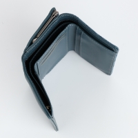 Кошелёк женский на магнитах, цвет голубой Кошелёк женский на магнитах, цвет голубой