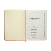 Ежедневник недатированный A5, 140л, клетка, кожзам, на резинке, бирюзовый срез, Розовый