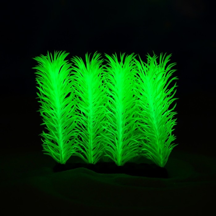 Растение искусственное аквариумное, светящееся, 5 см, зелёное Растение искусственное аквариумное, светящееся, 5 см, зелёное