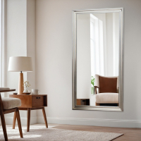 Зеркало настенное &laquo;Жаклин&raquo;, 60&times;110cм, рама пластик, 50 мм