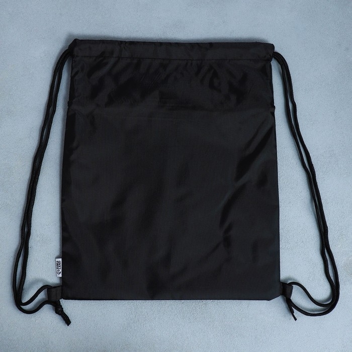 Мешок для обуви &laquo;Крутая тачка&raquo; 2 секции, 30 х 40 см