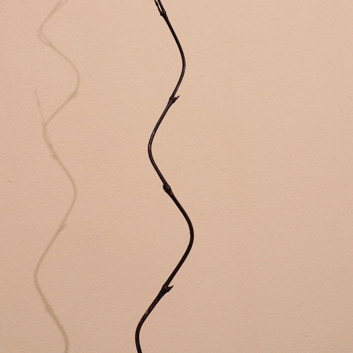 Интерьерный декор из бамбука, 200 см тёмный Интерьерный декор из бамбука, 200 см тёмный