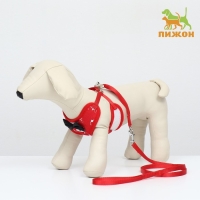 Комплект с мягкой шлейкой и бантиком "Якорь", размер S, поводок 120 x 1,5 см, ОГ 23-42 см, красный Комплект с мягкой шлейкой и бантиком "Якорь", размер S, поводок 120 x 1,5 см, ОГ 23-42 см, красный