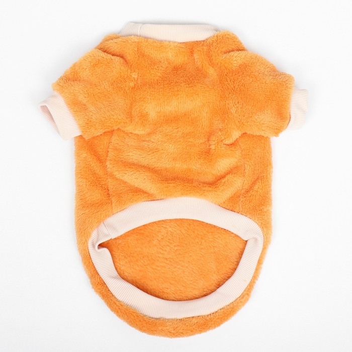 Свитер Свитер "Мандарин", велюр, размер XS (ДС 20, ОШ 21, ОГ 30 см), оранжевый