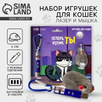 Игрушка для кошек лазер+мышь &laquo;Теперь котик ты&raquo;